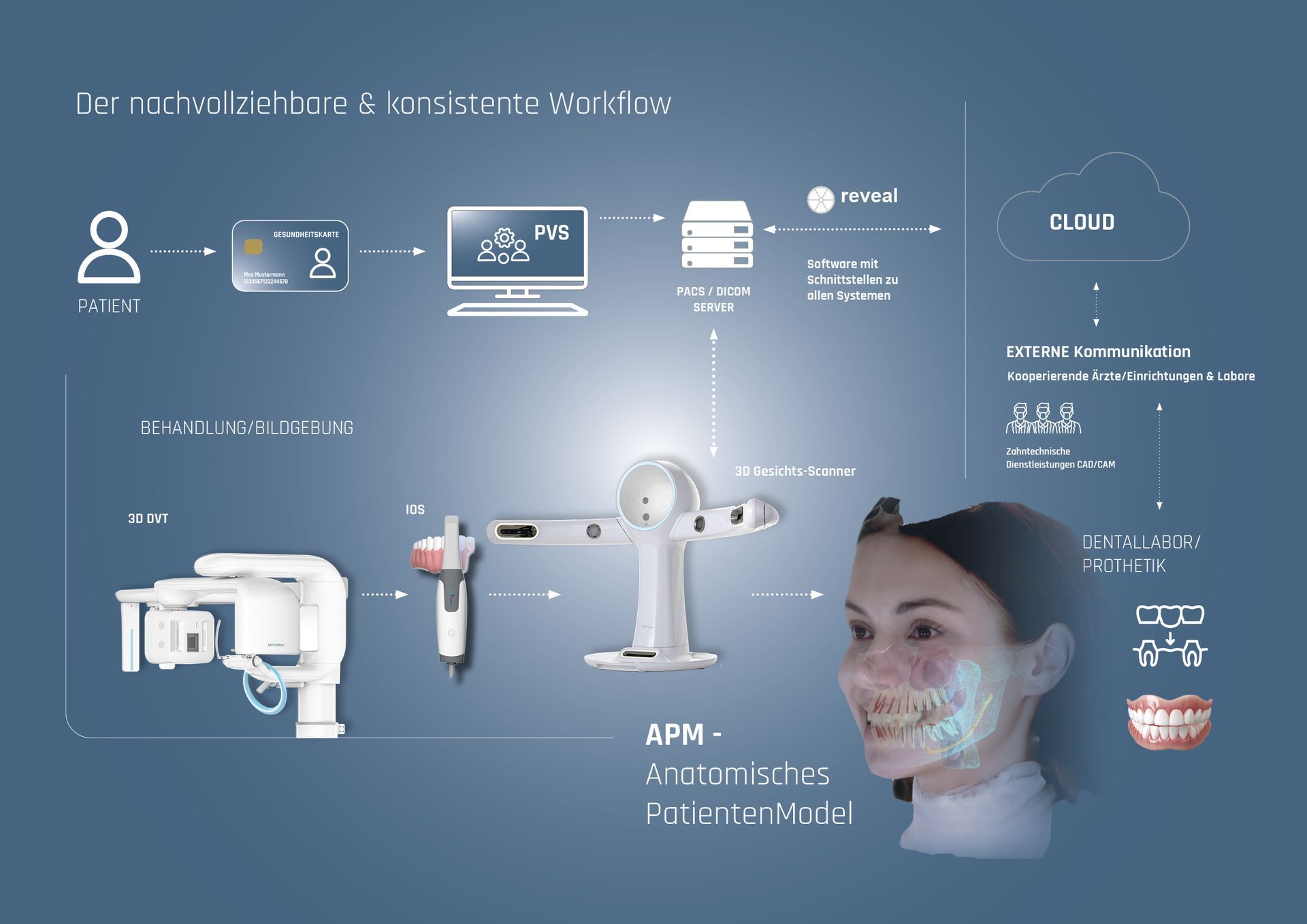 Digitaler Prozess mit der reveal-Software
